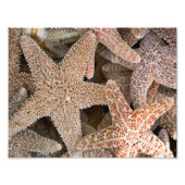 Impression Photo Starfish partout (Devant)