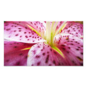 Impression Photo Stargazer Lily brillant Magenta Floral (Devant)