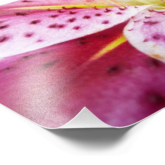 Impression Photo Stargazer Lily brillant Magenta Floral (Coin)