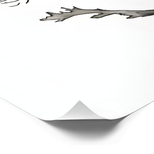 Impression Photo Stark Beauty : Arbre Noir et Blanc Art Mur (Coin)