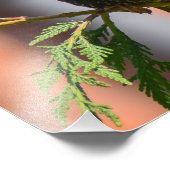 Impression Photo Starling européen (Coin)