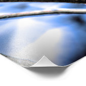 Impression Photo Starling européen coloré (Coin)