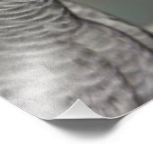 Impression Photo Stately african Grey Parrot (Coin)