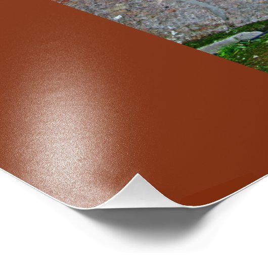 Impression Photo Statue du Forum romain (Coin)