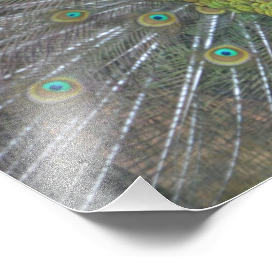 Impression Photo Stunning (Coin)