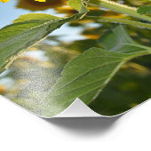 Impression Photo Style tournesol (Coin)