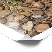 Impression Photo Succulente 36"x24" (Coin)