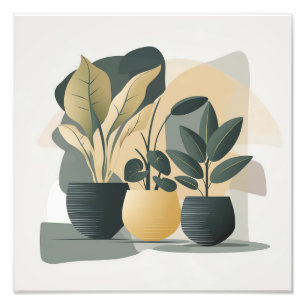 Impression Photo Succulents serènes