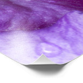 Impression Photo Sud-est du Vietnam. Gros plan de la grenouille des (Coin)