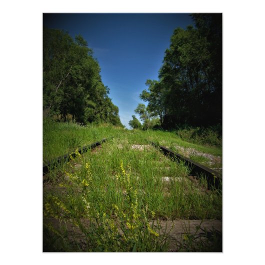 Impression Photo "Suivi et terrain" (Devant)