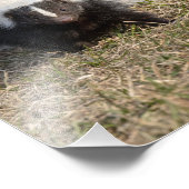 Impression Photo Sujet (Coin)