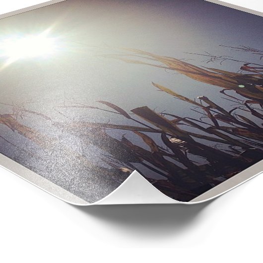 Impression Photo Sun Corn God 2 (Coin)