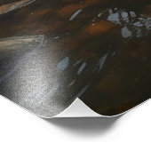 Impression Photo *~* Sun Man River Stream Nature AP49 (Coin)