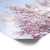 Impression Photo sun rays pass through pink flowers of a wow tree (Coin)