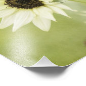 Impression photo Sunflower blanche (Coin)