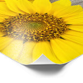 Impression Photo Sunflowers on table (Coin)