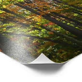 Impression Photo Sunlit Fall Forest Paysage d'automne (Coin)