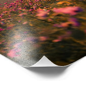 Impression Photo Sunset and cosmos (Coin)