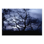 Impression Photo Sunset de minuit (Devant)