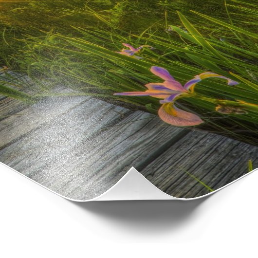 Impression Photo Sunset des Prairies (Coin)