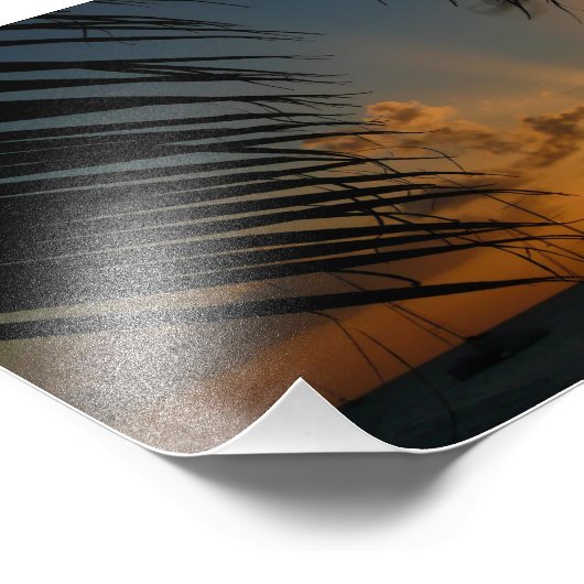 Impression Photo Sunset Through Palm Fronds (Coin)