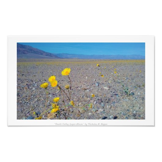 Impression Photo "Super Bloom de la Vallée de la Mort", Nature (Devant)