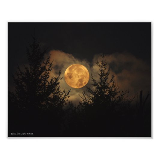 Impression Photo Super Moon 8X10 11-14-16 (Devant)
