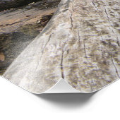 Impression Photo Superbe cascade en Tasmanie (Coin)