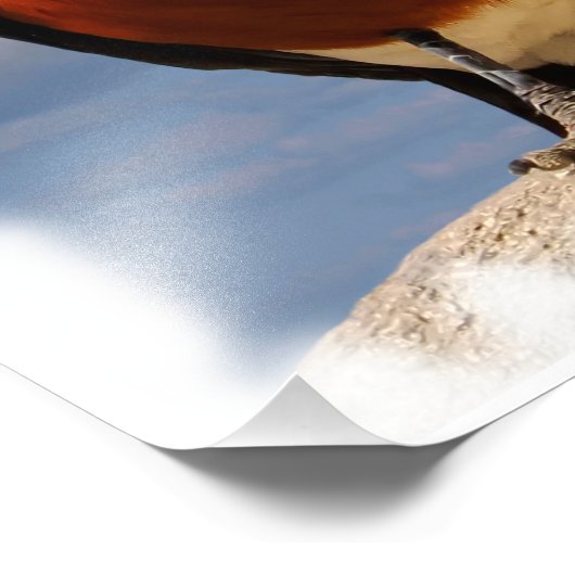 Impression Photo Superbe étoile vue de face (Coin)