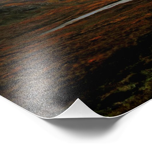 Impression Photo Sur la route à Iona (Coin)