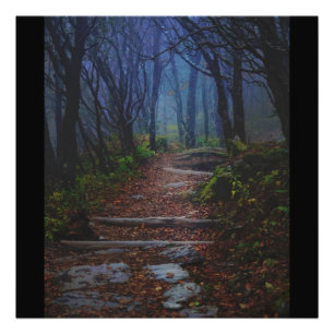 Impression Photo Sur le chemin