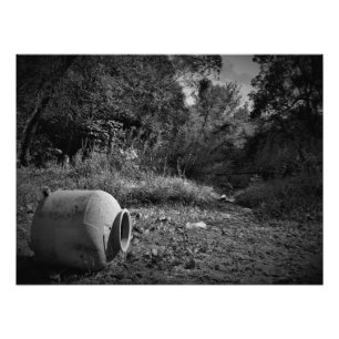 Impression Photo "Sur les terres abandonnées"