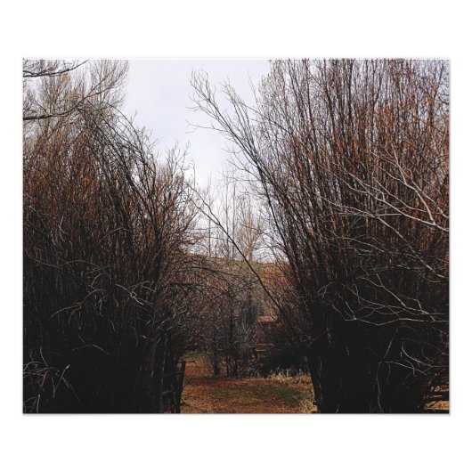 Impression Photo Surcroissance de Bannack en chute libre (Devant)