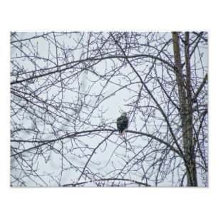 Impression Photo Surveillance