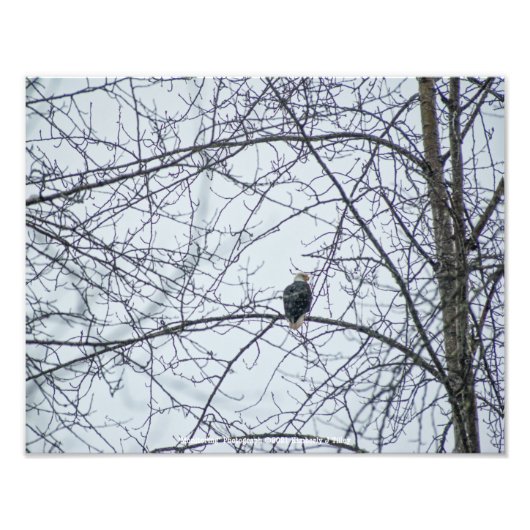 Impression Photo Surveillance (Devant)