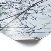 Impression Photo Surveillance (Coin)