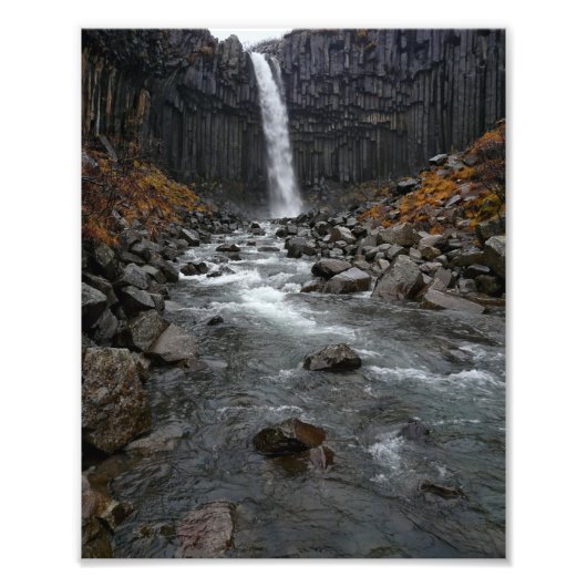 Impression Photo Svartifoss watervall en Islande (Devant)