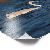 Impression Photo Swan (Coin)