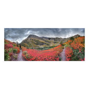 Impression Photo Swiftcurrent Pass Trail - Parc national des Glacie