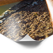 Impression Photo Symbole Ankh (Coin)