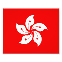 Symbole de l'orchidée blanche du drapeau de Hong K