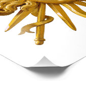 Impression Photo Symbole de Louis XIV le Roi Soleil (Coin)