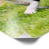 Impression Photo Sympa drôles Boston Terrier chiens chiots jouer - (Coin)