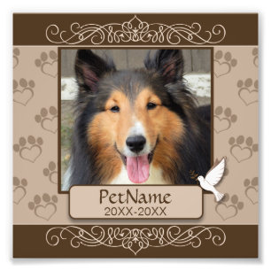 Impression Photo Sympathie personnalisée pour animal de compagnie B