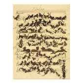 Impression Photo Symphonie de chat par Moritz von Schwind (Devant)