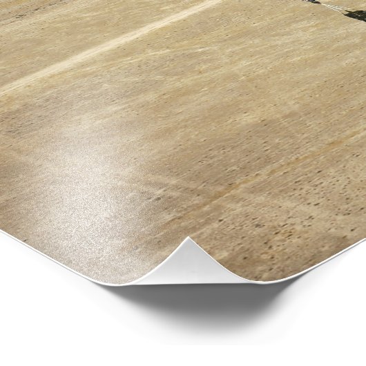 Impression Photo Système de livraison de conteneurs paquets parachu (Coin)