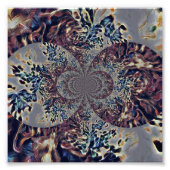 Impression Photo T Nova (Devant)