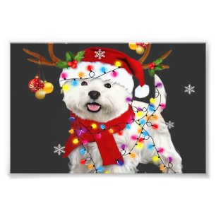 Impression Photo T-shirt drôle de Westie Noël Renne Lumières de Noë