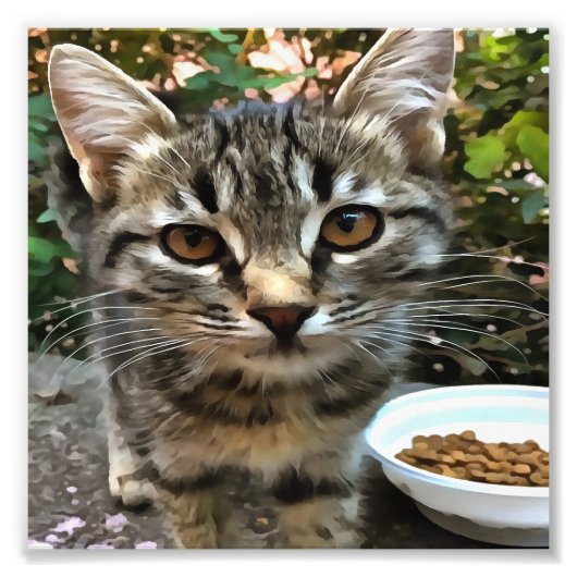 Impression Photo Tabby Cat Kitten Faire contact visuel (Devant)