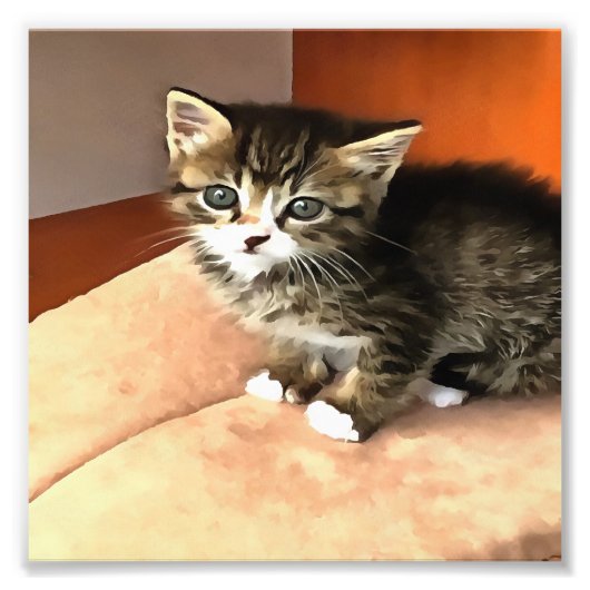 Impression Photo Tabby Cat Kitten Portrait pour animaux (Devant)